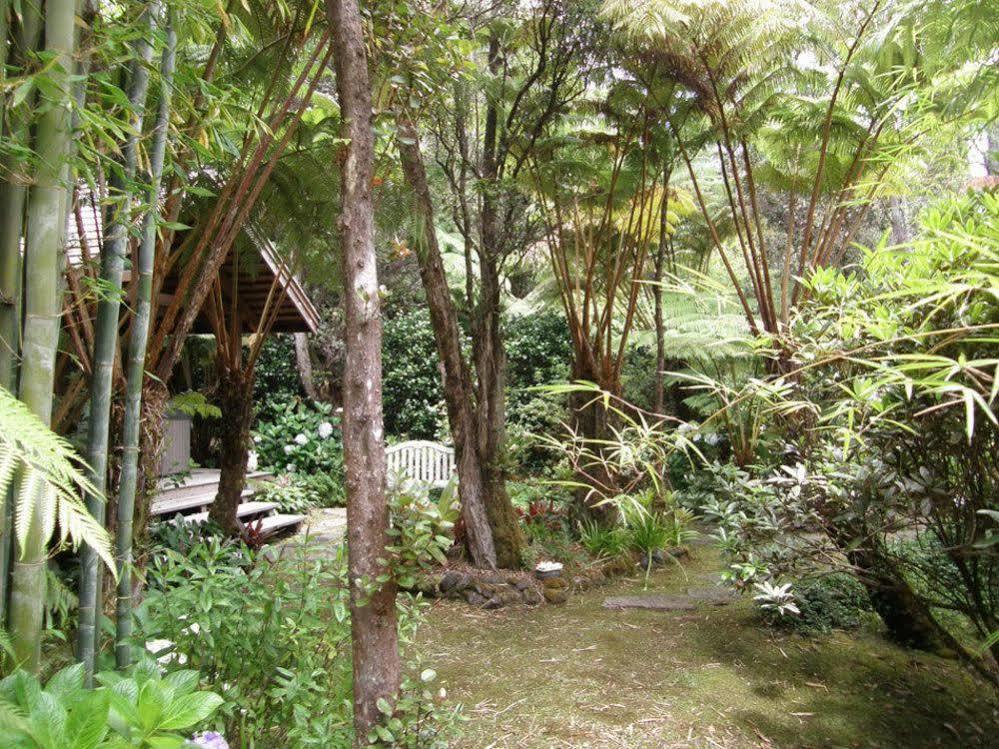 Volcano Teapot Cottage Exterior photo